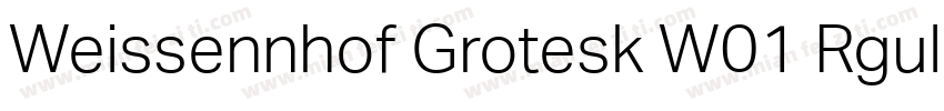 Weissennhof Grotesk W01 Rgular字体转换